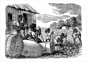 Slaves on a cotton plantation in Georgia