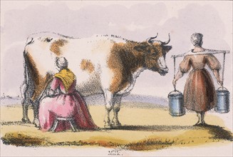 Mlikmaids: From "Graphic Illustrations of Animals and Their Utility to Man", c1850