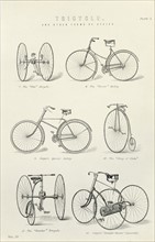 Various forms of bicycle and tricycle