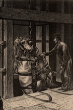 A pit pony being lowered down a mine shaft, 1869