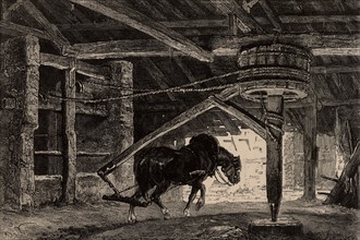 Extraction de charbon à l'aide d'un manège à chevaux, 1869