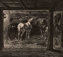 Pit ponies in their underground stable in a coal mine