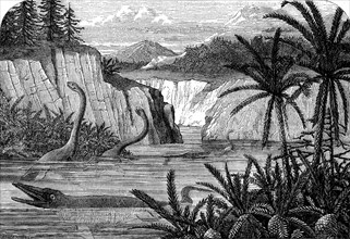 Ideal flora and fauna of the Liassic period