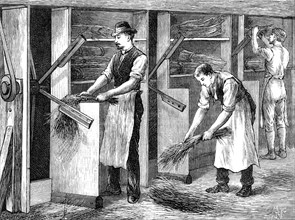 Scutching or dressing flax by beating the stalks by machine