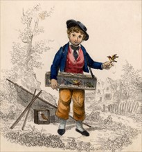Birdcatcher with small songbirds