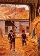 Farm labourers threshing corn with flails on the barn floor