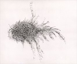 Lord Rosse's drawing of the Crab nebula