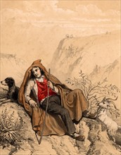 A young goatherd in the French Pyrenees