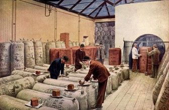 Hop-sampling warehouse