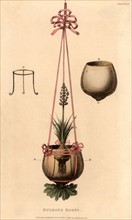 Hyacinth vase which could be suspended