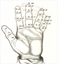 The Guidonian Hand