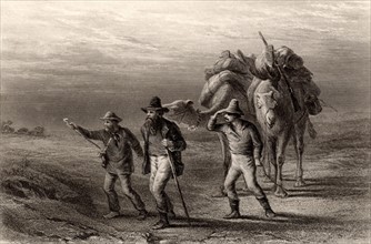 Burke and Wills Expedition to explore the interior of Australia