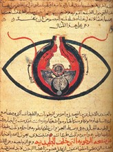 The eye according to Hunain ibn Ishaq also called Johannitius
