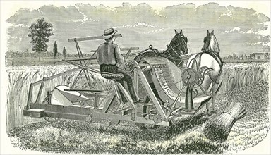 Horse-drawn self-binding reaping machine by Walter A Woods