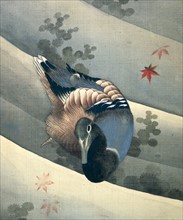 Duck Swimming in Water', 1847