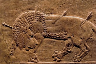 Assyrian bas relief panel