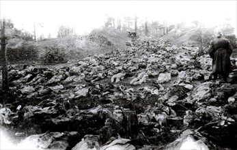 The Katyn massacre of thousands of Polish prisoners of war