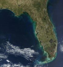 Sediments of Algal Bloom line the coast of Florida in the southern United States of America, giving the peninsula a greenish frame