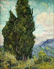 Van Gogh, Les Cyprès