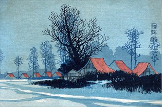 Buildings with red roofs in a winter landscape