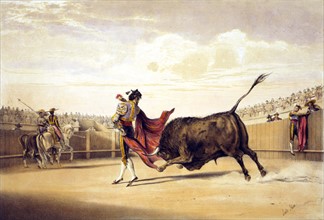 Price, Bullfighting
