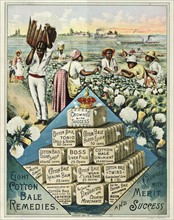 Advertisement for Cotton Bale Medicine Co
