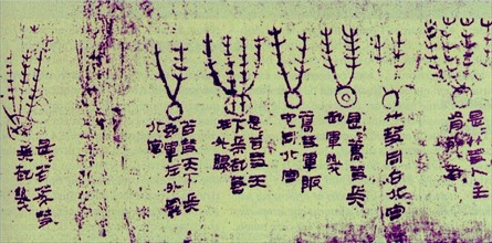 The Mawangdui silk, a Chinese 'textbook' of cometary forms