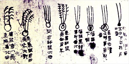 The Mawangdui silk, a Chinese 'textbook' of cometary forms