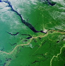 Satellite image of the convergence of the Rio Solimoes and the Rio Negro