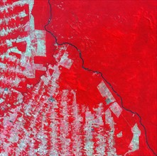 False-colour satellite image of deforestation