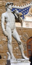 Copie de Michel-Ange, Statue de David