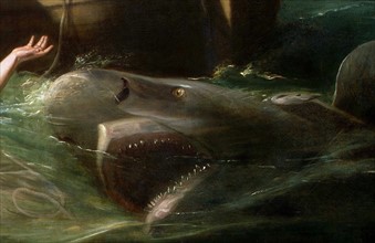 Copie de Watson et le requin