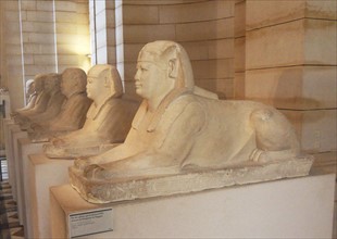 Six sphinxes that lined the leading I'allee Serapeum Saqqara