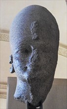 Head from a colossal statue of King Amenhotep III 1391-1353 BC