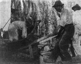 African American labourers at work