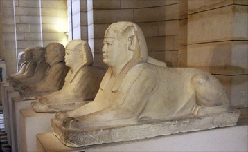 Six sphinxes that lined the alley