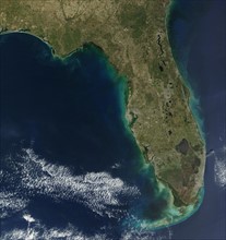 Bloom of the toxic alga 'Karenia brevis' in Florida