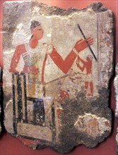 Tomb paintings Metchetchi to 2350 BC