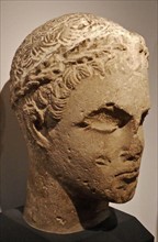 Head of a young man