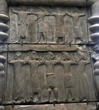 Plaster cast from Persepolis
