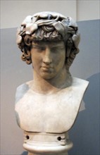 Marble bust of Antinous  d122