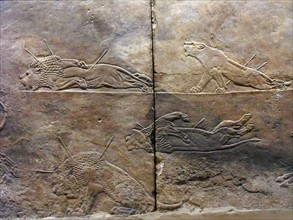 royal lion hunt Assyrian