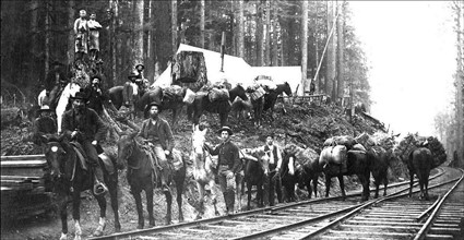 Northern Pacific railroad crew and camp photo was taken around 1890