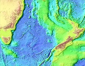 Tasman Sea floor and land relief map