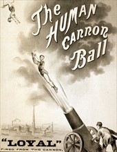 The Human Cannonball