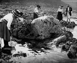 French coastal scene