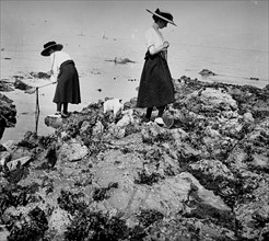 Coastal scene, France