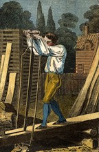 Sawyers cutting wood