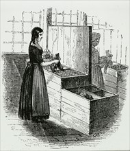 Woman sorting and cutting rags to be turned into paper