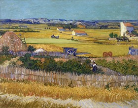 Van Gogh, La récolte